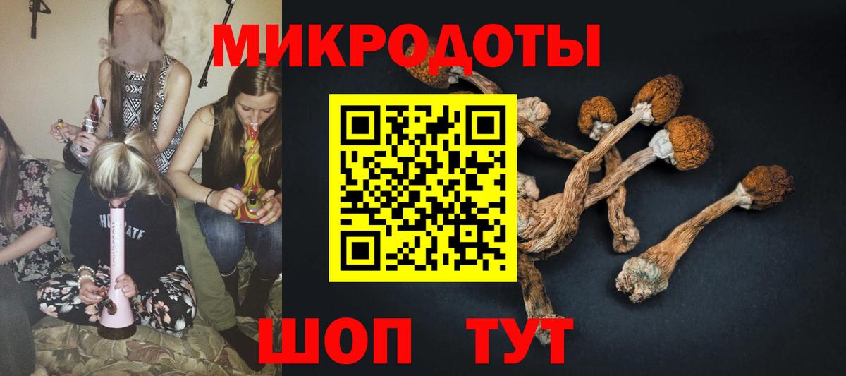 Моздок  цены   Галлюциногенные грибы Magic Shrooms  Вход с VPN  Галлюциногенные грибы мухоморы 