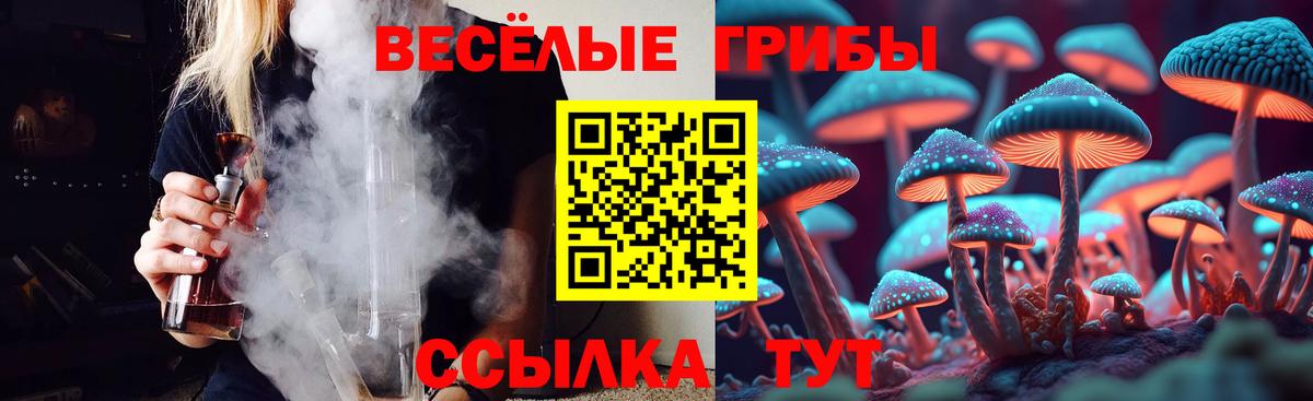 Галлюциногенные грибы Cubensis Моздок